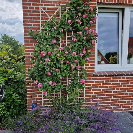 In Leer-nuettermoor * Nuttermoor