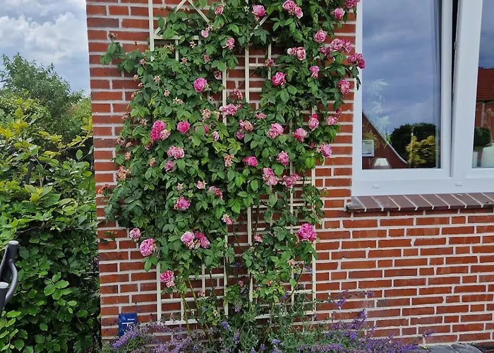 In Leer-nuettermoor * Nuttermoor